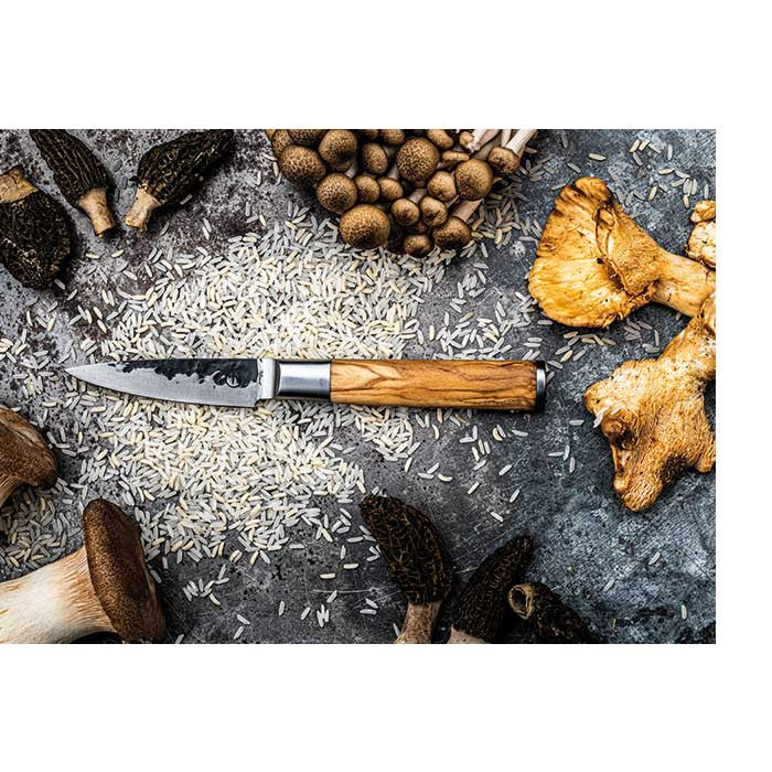 Cuchillo de Pelar Forged Olive