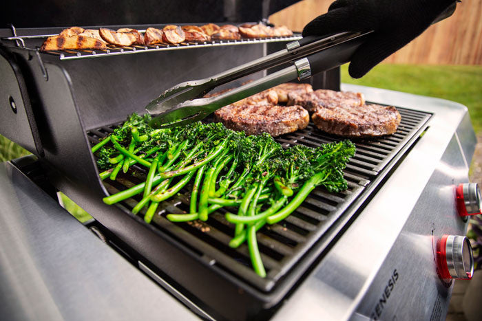 Barbacoa Weber Genesis E-315