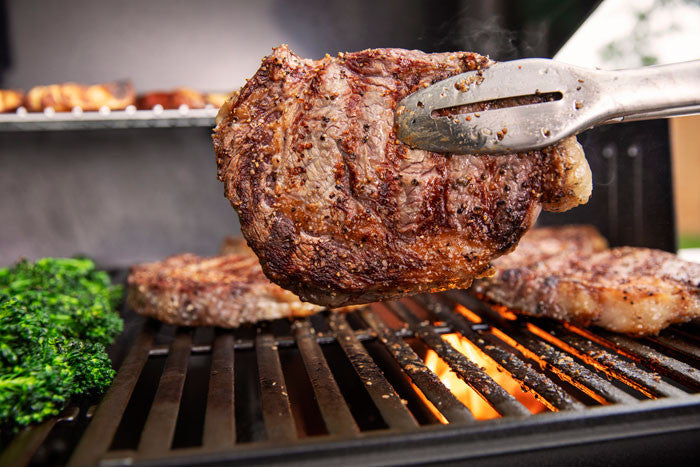 Barbacoa Weber Genesis E-315