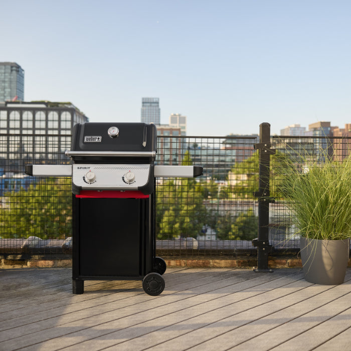 Barbacoa Weber Spirit E-210