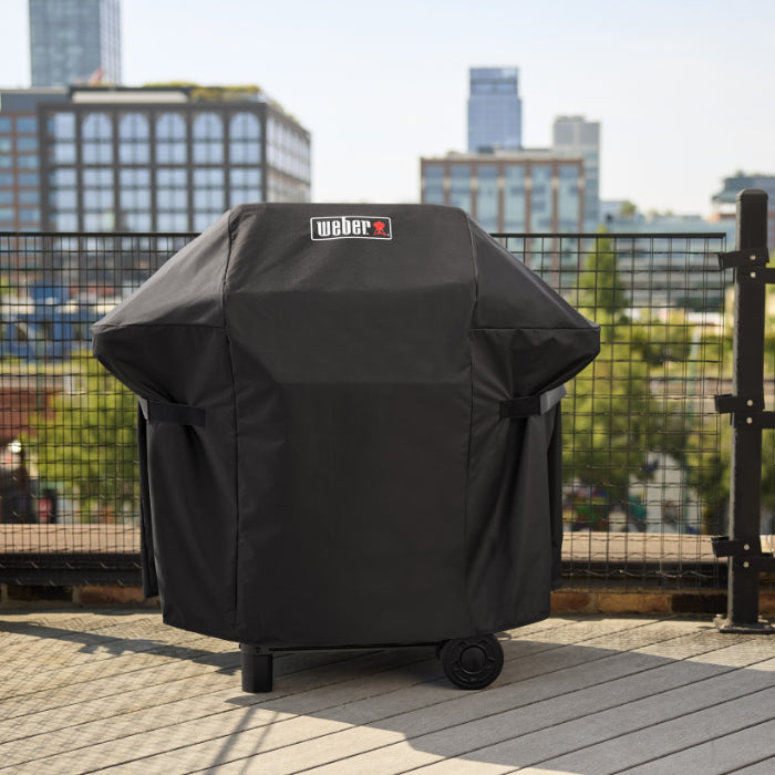 Barbacoa Weber Spirit E-210