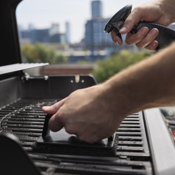 Barbacoa Weber Spirit E-310