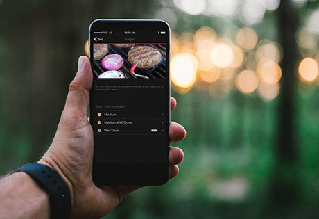 iGrill mini de Weber®