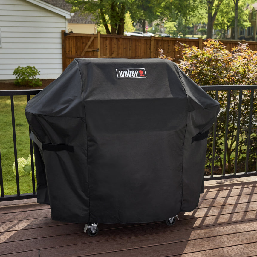 Barbacoa Weber Spirit EP-435