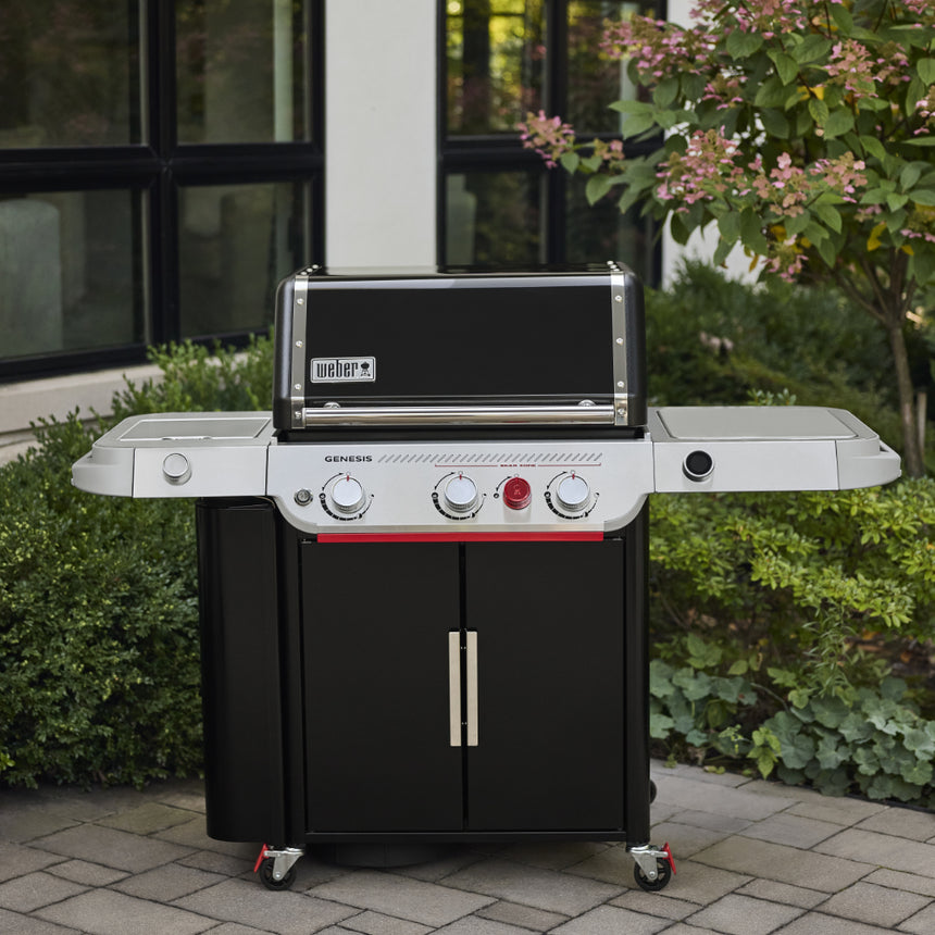 Barbacoa Weber Genesis EP-335W