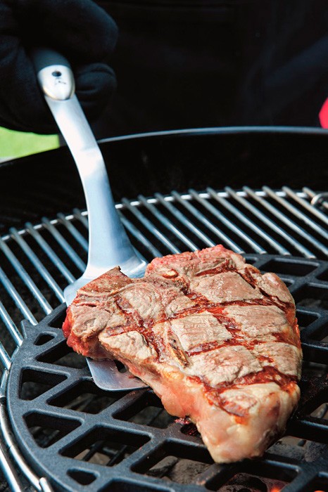 Parrilla para marcar la carne Gourmet BBQ System