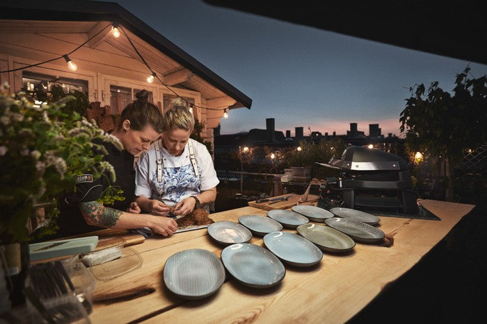 Barbacoa Weber PULSE 2000