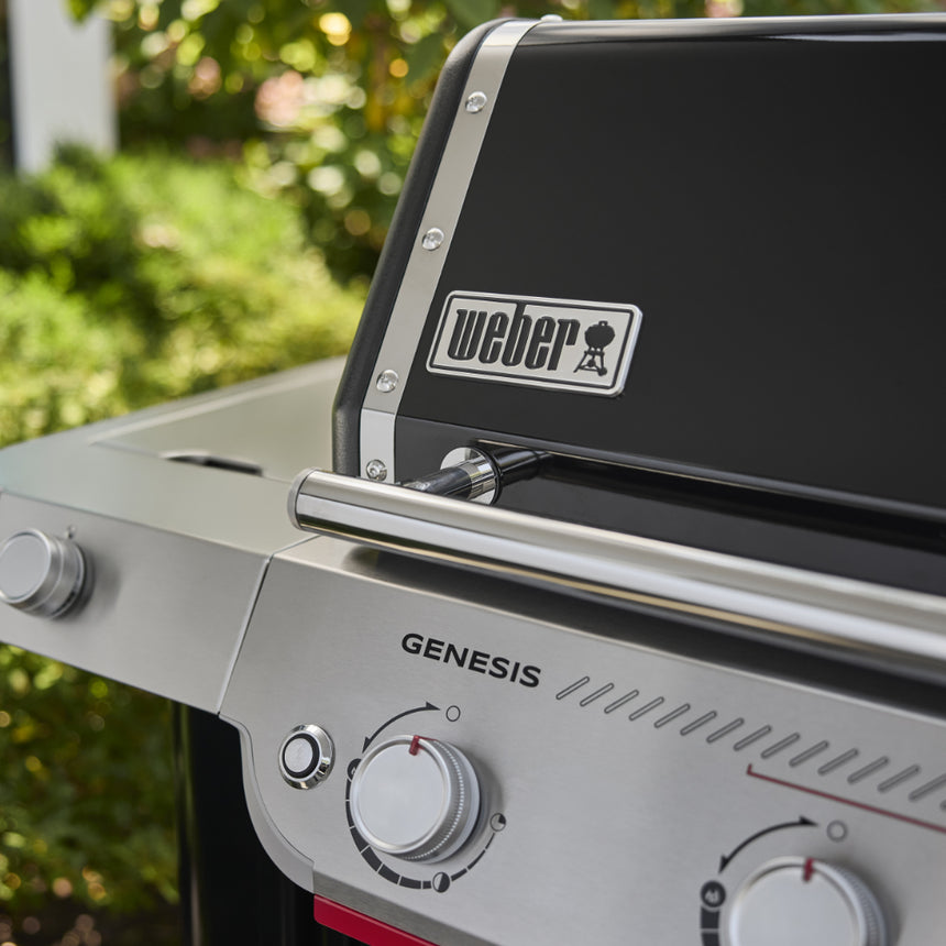 Barbacoa Weber Genesis EP-335W