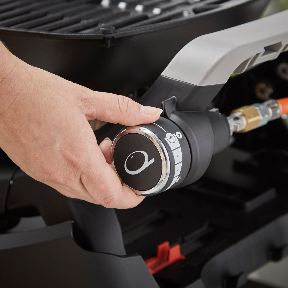 Barbacoa Weber Q 1200N