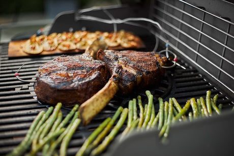 Weber Connect Smart Grilling Hub