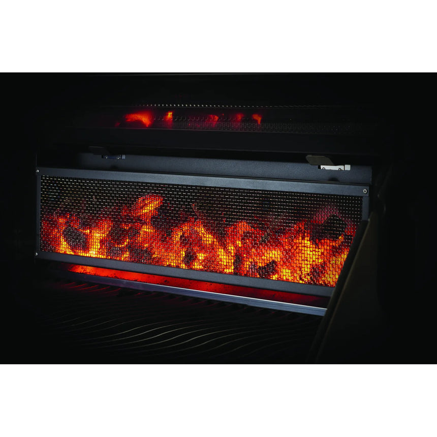Barbacoa de carbón Napoleon Charcoal Professional PRO 605