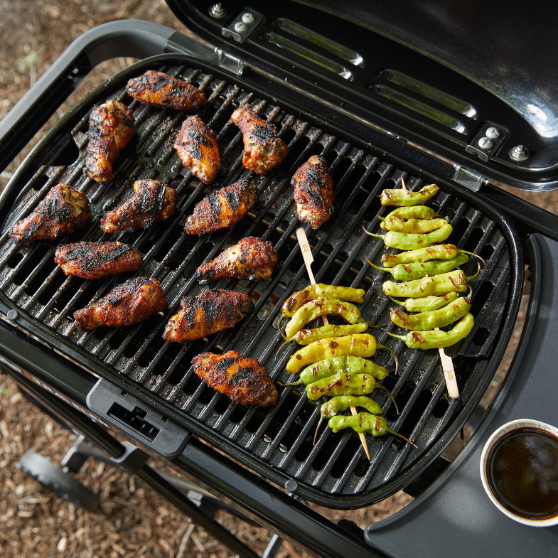 BARBACOA DE GAS WEBER TRAVELER COMPACT