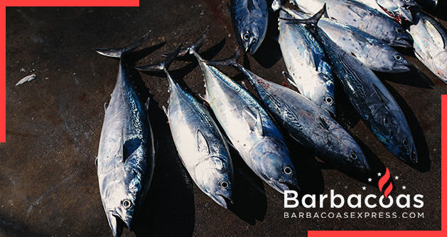 Atún a las brasas: 3 recetas caseras