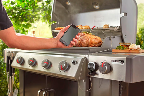 El mejor momento para comprar una barbacoa Weber