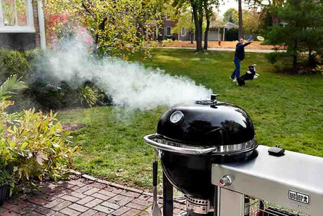 Barbacoa Weber Summit Kamado S6