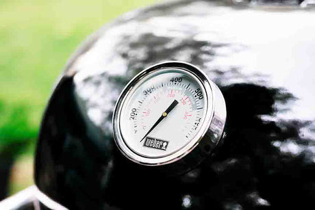 Barbacoa Weber Summit Kamado S6