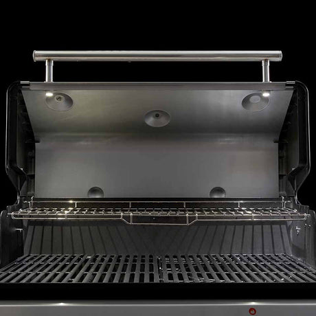 Barbacoa Weber Genesis EPX-435