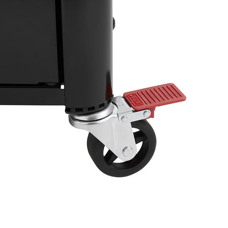 Barbacoa Weber Genesis EPX-435