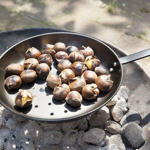 Paella para castañas