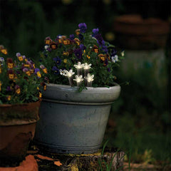 Luces solares decorativas para macetas y parterres, en forma de flor