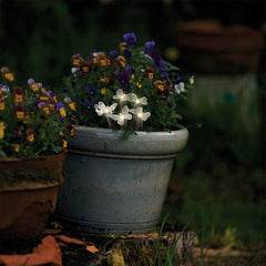 Luces solares decorativas para macetas y parterres, en forma de mariposas