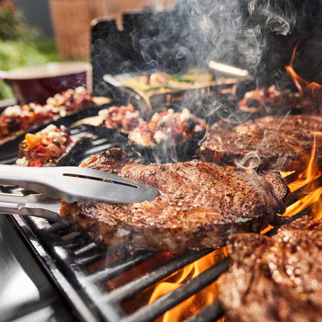 Barbacoa Weber Genesis E-415