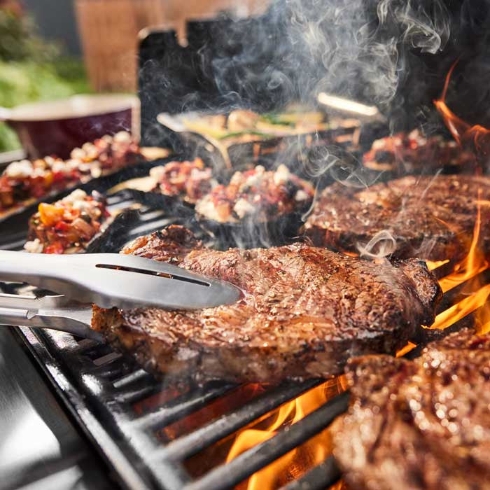 Barbacoa Weber Genesis E-415
