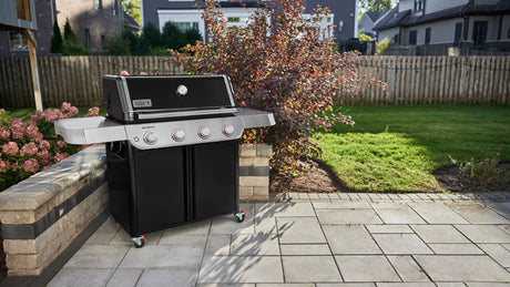 Barbacoa Weber Genesis E-415