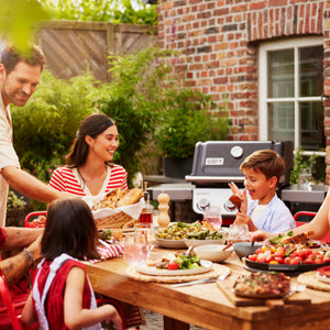 Barbacoa Weber Spirit E-325