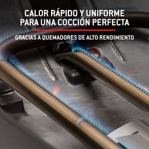 Churrasqueira a gás Weber Q 3200N+ com carrinho premium