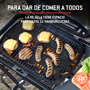Barbacoa de gas Weber Traveler Compact