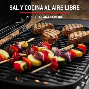 Barbacoa de gas Weber Traveler Compact