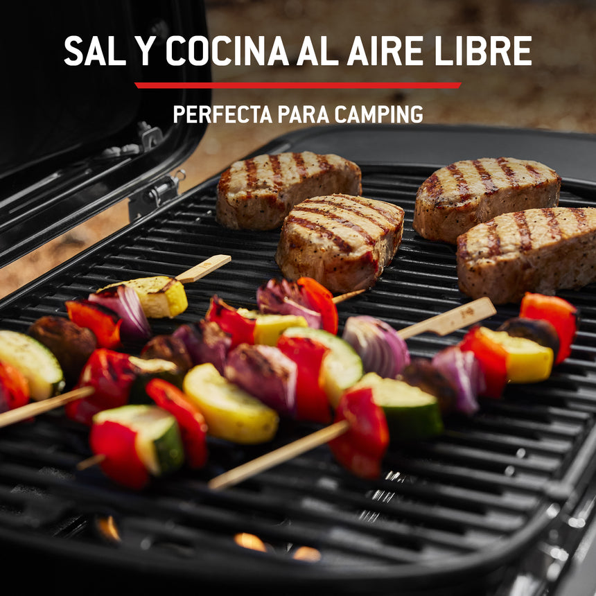Barbacoa de gas Weber Traveler Compact