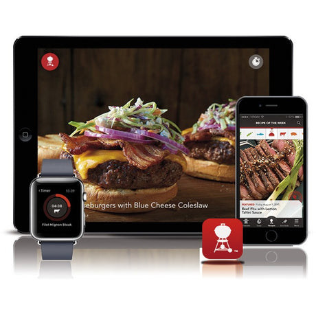 iGrill 2 de Weber®