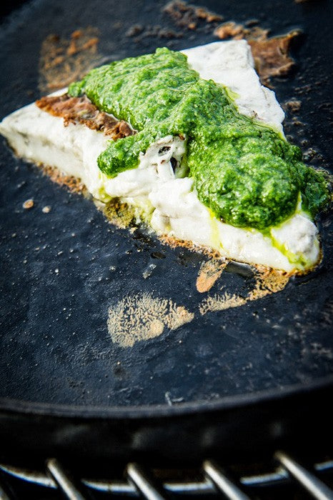 Plancha GBS
