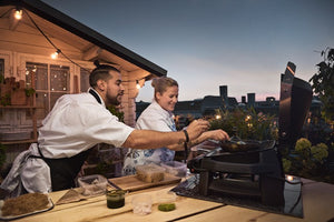 Barbacoa Weber PULSE 2000
