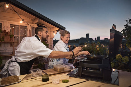 Barbacoa Weber PULSE 2000