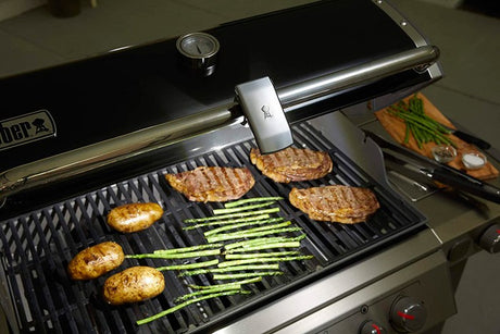 Lámpara Grill 'n Go para asa barbacoas de gas Weber