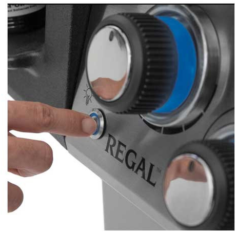 Barbacoa Broil King Regal 690
