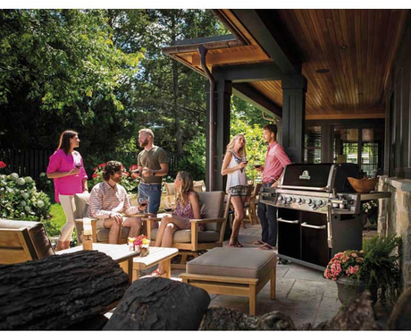 Barbacoa Broil King Regal 590 PRO