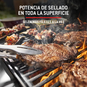 Barbacoa de gas Weber Spirit E-325