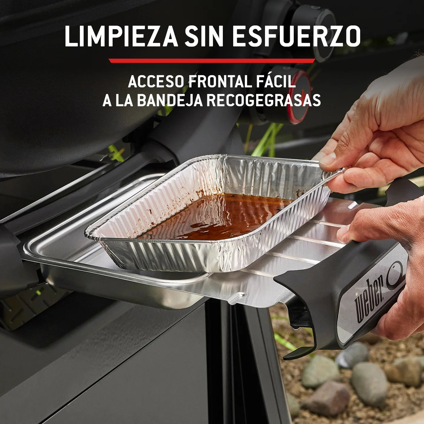 Barbacoa de gas Weber Q 2800N+ con carro premium