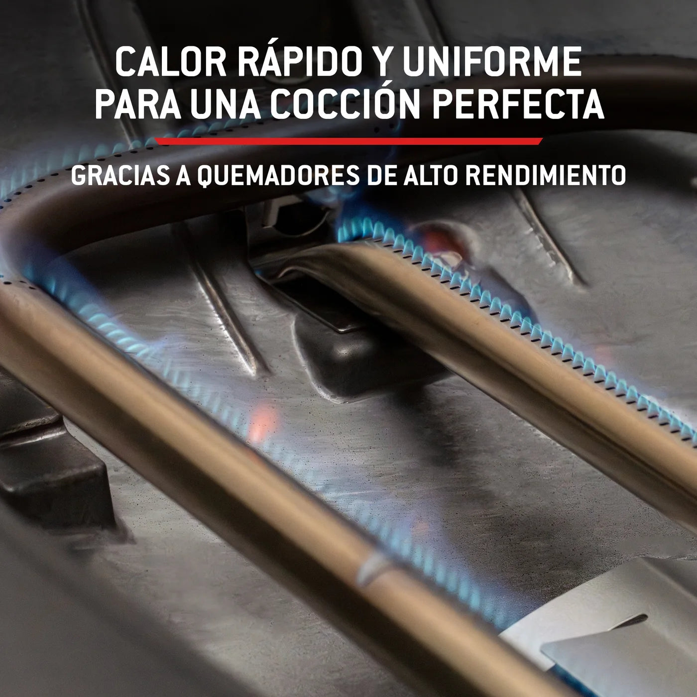 Barbacoa de gas Weber Q 2800N+ con carro premium