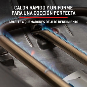 Barbacoa de gas Weber Q 2800N+ con carro premium