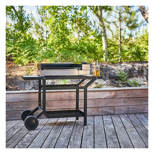 Plancha de gas Forge Adour Premium 60 inox