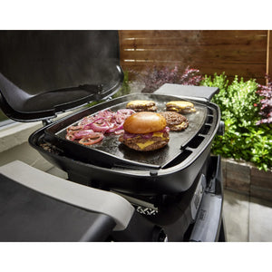Plancha integral para serie Q1000N Weber