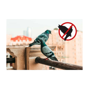 Ahuyentador de Palomas Stocker Automático a Batería