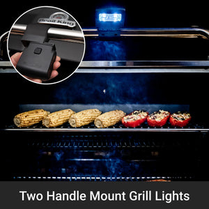 Barbacoa de gas Broil King Regal S 690 IR