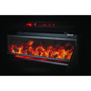 Barbacoa de carbón Napoleon Charcoal Professional PRO 605
