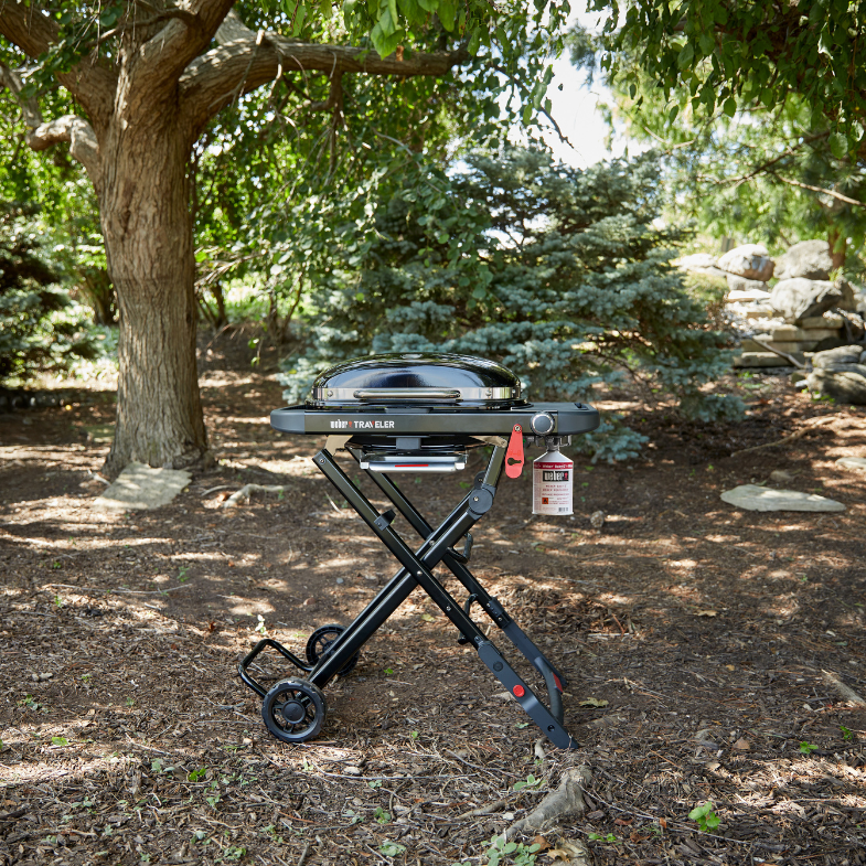 BARBACOA DE GAS WEBER TRAVELER COMPACT